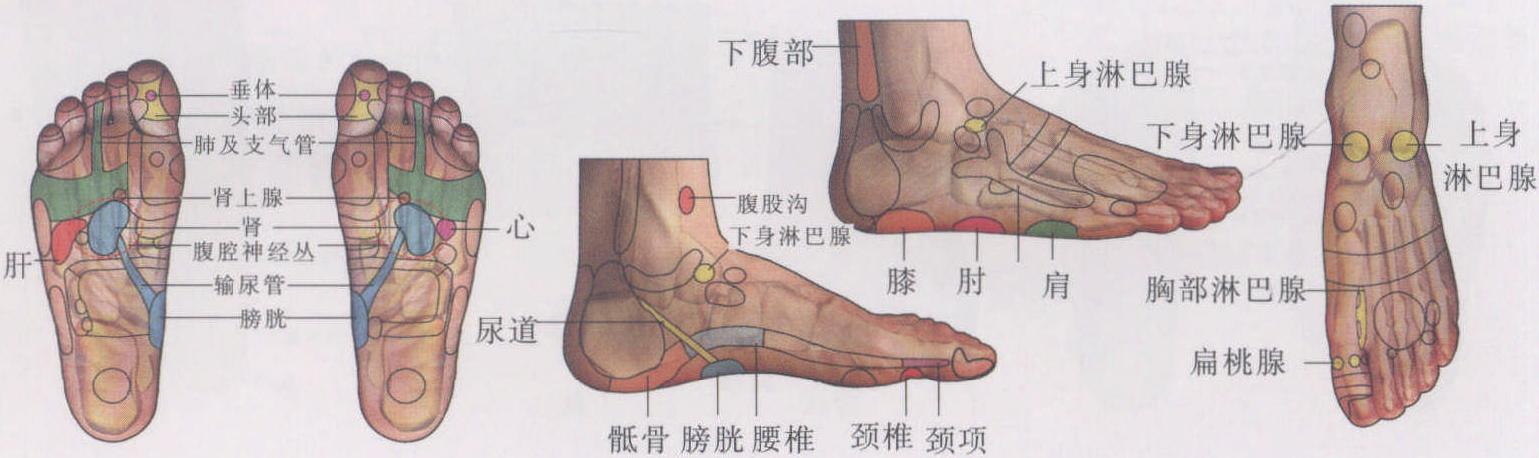 神經(jīng)性皮炎